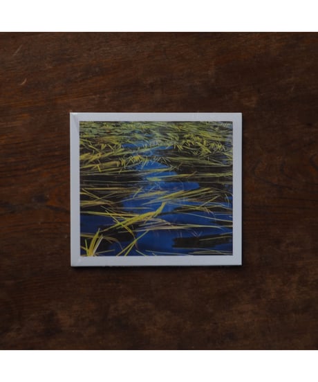 【CD】 into the setting sun｜Anthéne & Stijn Hüwels