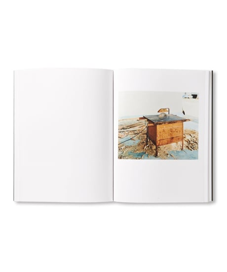 VERAMENTE｜Guido Guidi