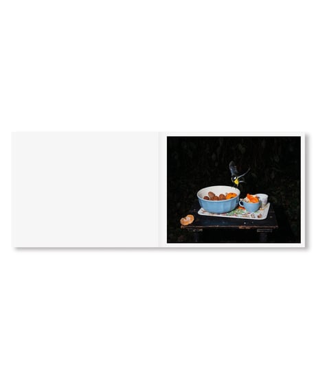 PLATES I-XXXI｜Lia Darjes