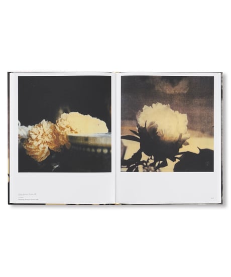 LE TEMPS RETROUVÉ CY TWOMBLY PHOTOGRAPHE ET ARTISTES INVITÉS｜Cy Twombly