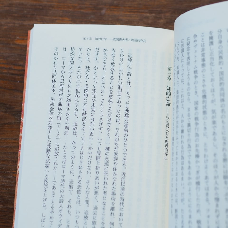 知識人とは何か｜エドワード・W．サイード 大橋洋一/訳 | button