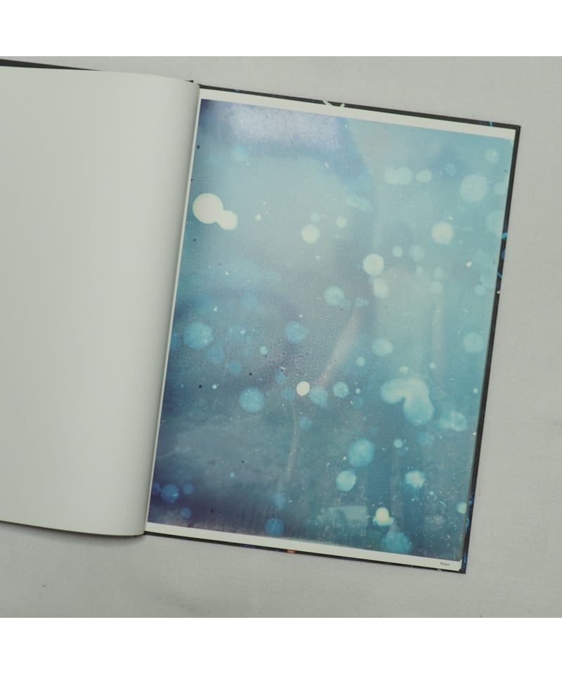 Best Before End｜Stephen Gill | button