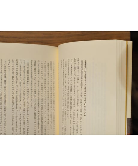 震災・コロナ 子どもの遊びと遊び空間　仙台・冒険広場の記録 | 加藤理・根本暁生・三浦忠士 著