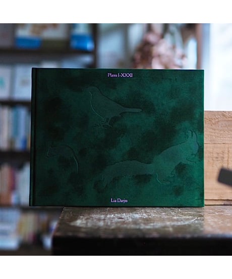 PLATES I-XXXI｜Lia Darjes