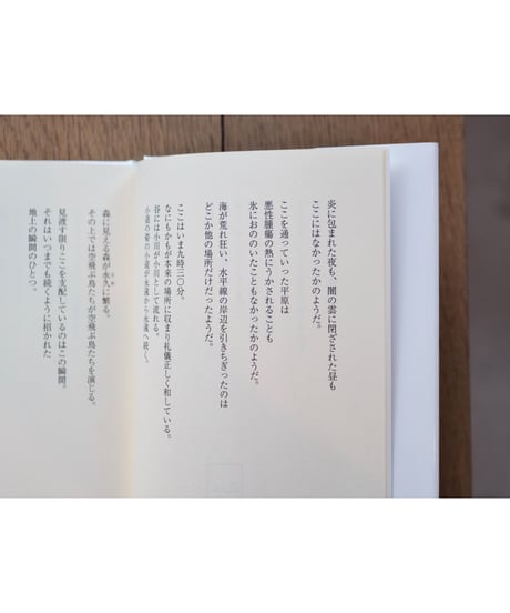瞬間 | ヴィスワヴァ・シンボルスカ　沼野充義訳・解説