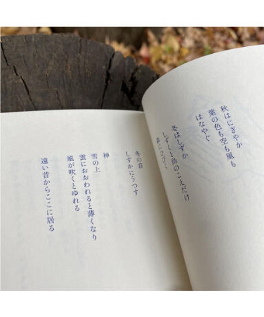 644ca7523c173d348f05f953