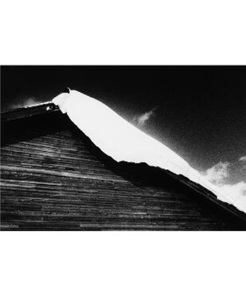 North Point 北点｜中居裕恭 写真集 | button