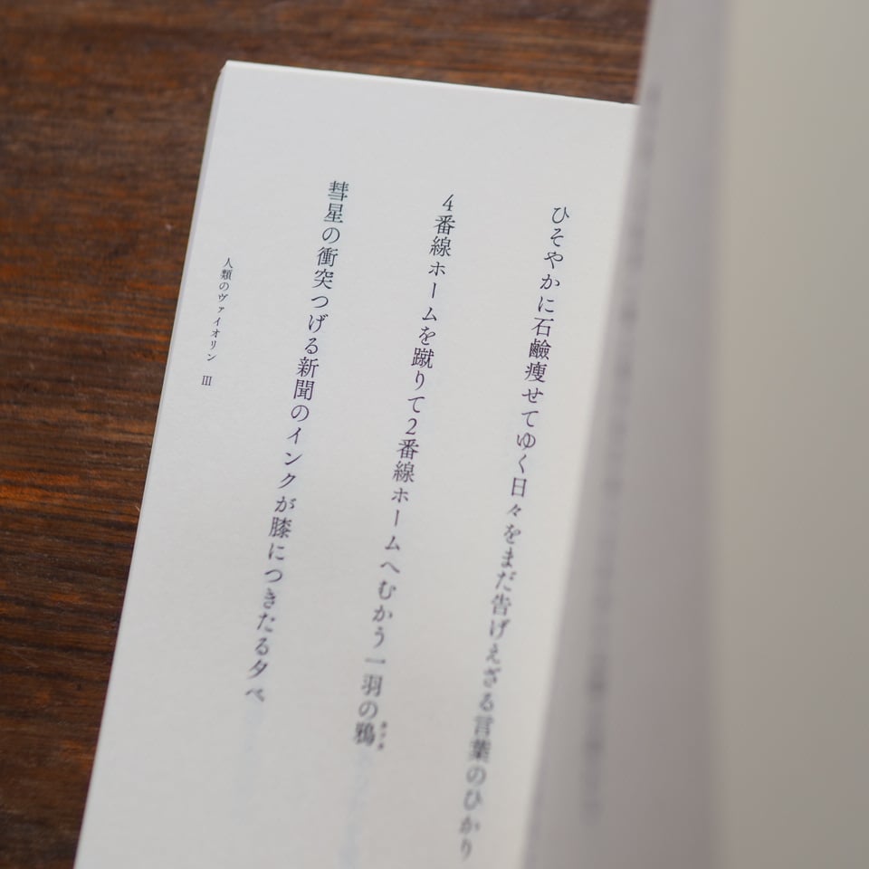 人類のヴァイオリン 大滝和子 歌集 砂子屋書房 銀河を産んだように」などⅠⅡⅢ歌集｜大滝和子 | button
