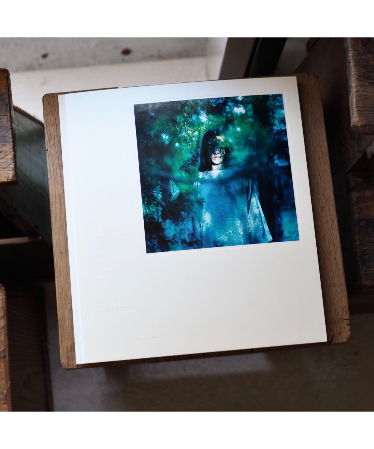 We are Made of Grass, Soil, Trees　山元彩香 We are Made of Grass, Soil, and Trees | 山元彩香 – T&M Projects