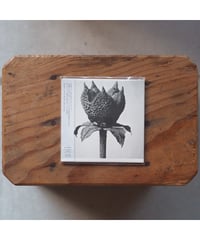 CD】あかるいくらい｜浮 | button