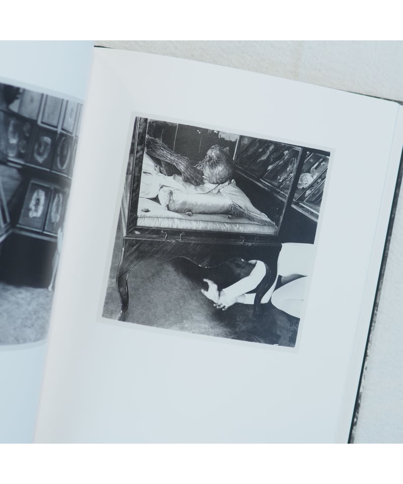 ALTERNATE STORIES｜Francesca Woodman | button