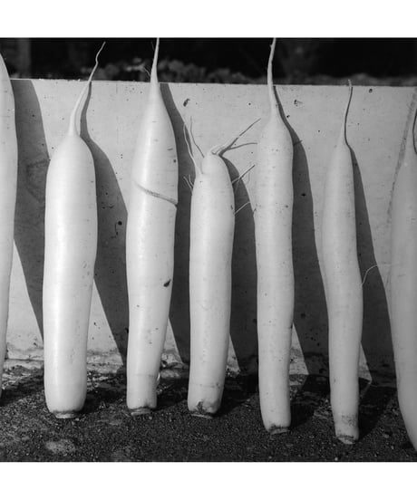A Long Interview with Kozo Miyoshi ｜Kozo Miyoshi 三好耕三