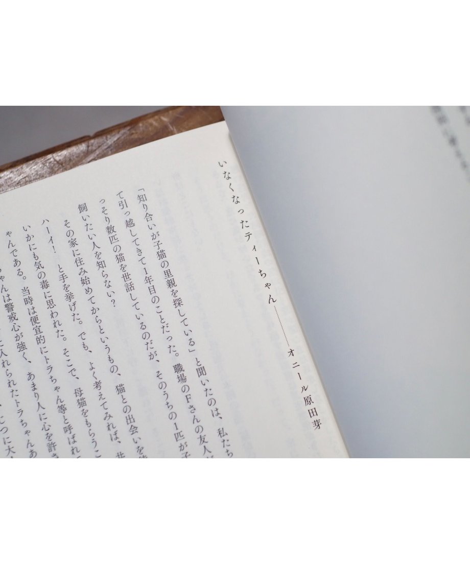 6097e898da019c6c61c0bcaf