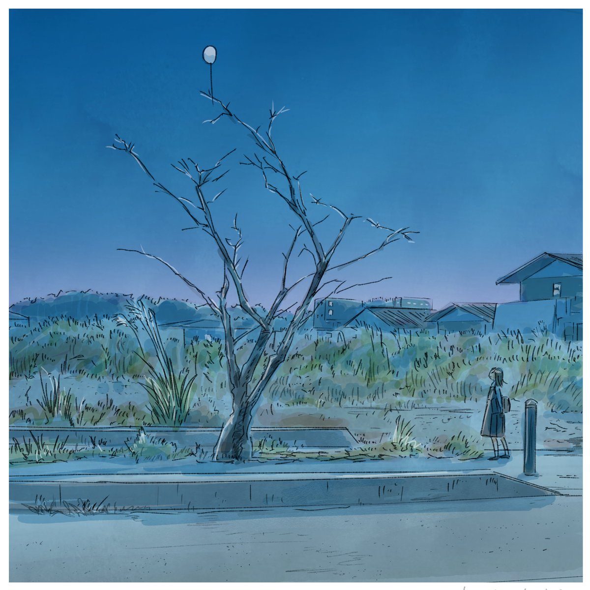 今日マチ子 サイン本 未開封 5つ数えれば君の夢 秋田書店 入手困難 5つ数えれば君の夢 | 今日 マチ子 |本 | 通販 | Amazon