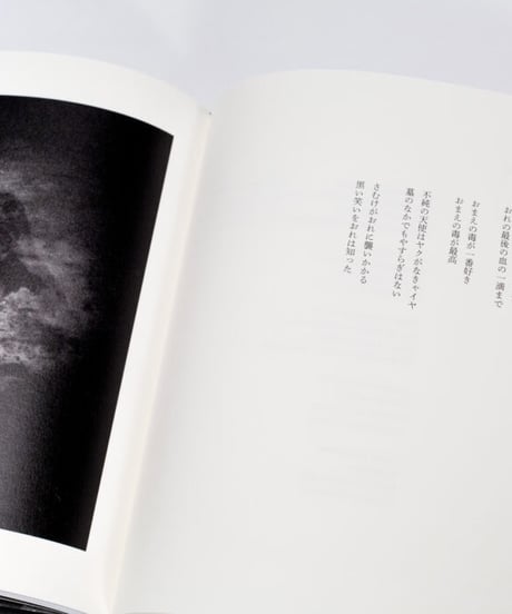 The Last One〈Poésies : Les Rallizes Dénudés〉裸のラリーズ詩集