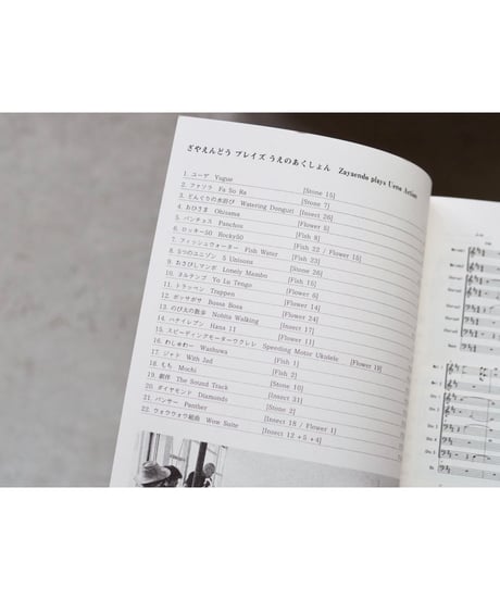 Zayaendo plays Ueno Action 【BOOK+CD】