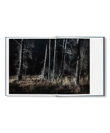 【サイン本】INTIMATE DISTANCE: OVER THIRTY YEARS OF PHOTOGRAPHS, A CHRONOLOGICAL ALBUM｜Todd Hido