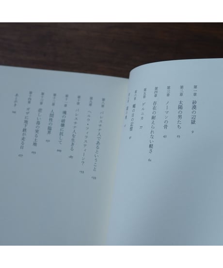 ガザに地下鉄が走る日｜岡真理