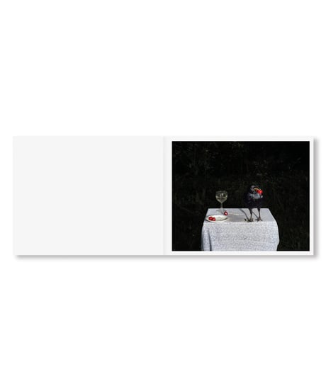 PLATES I-XXXI｜Lia Darjes