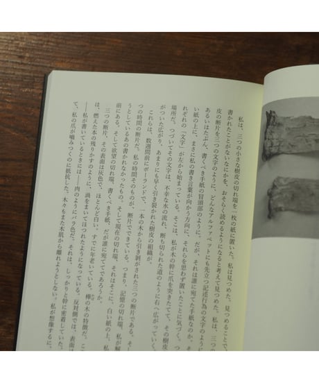 場所、それでもなお｜ジョルジュ・ディディ=ユベルマン 江澤健一郎/訳