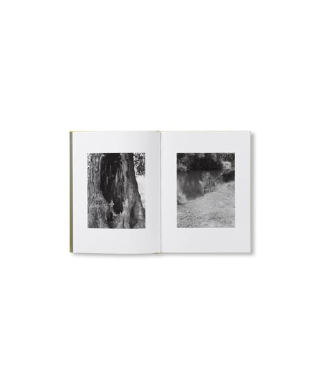 NATUR｜Michael Schmidt