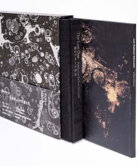 The Last One〈Poésies : Les Rallizes Dénudés〉裸のラリーズ詩集
