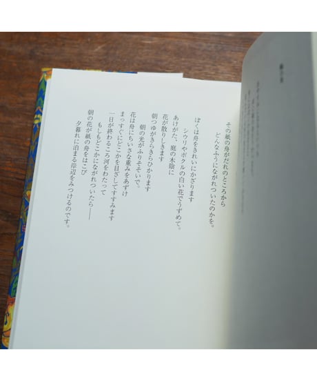 お母さま｜ラビンドラナート・タゴール 内山眞理子/訳