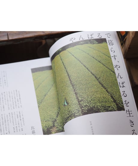 CONTE MAGAZINE VOL.2 特集：森へ来なさい。