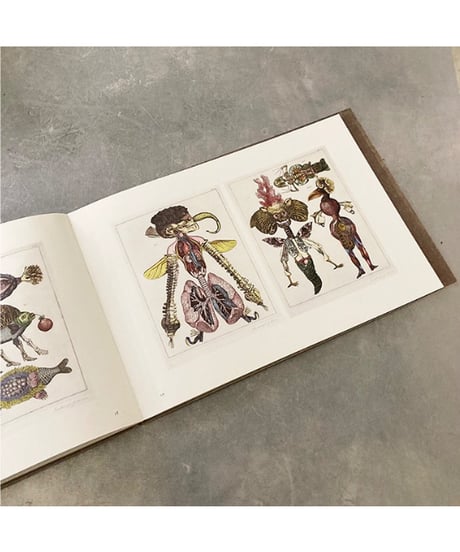人形劇・虫・博物誌｜ヤン・シュヴァンクマイエル ペトル・ホリー/訳
