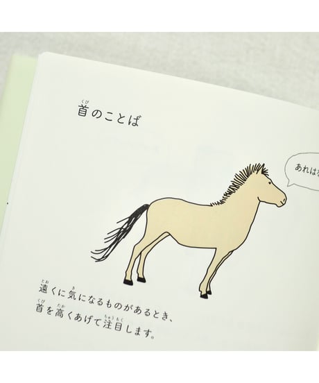 ウマと話すための７つのひみつ｜河田桟