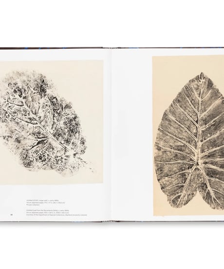 RUTH ASAWA THROUGH LINE｜Ruth Asawa