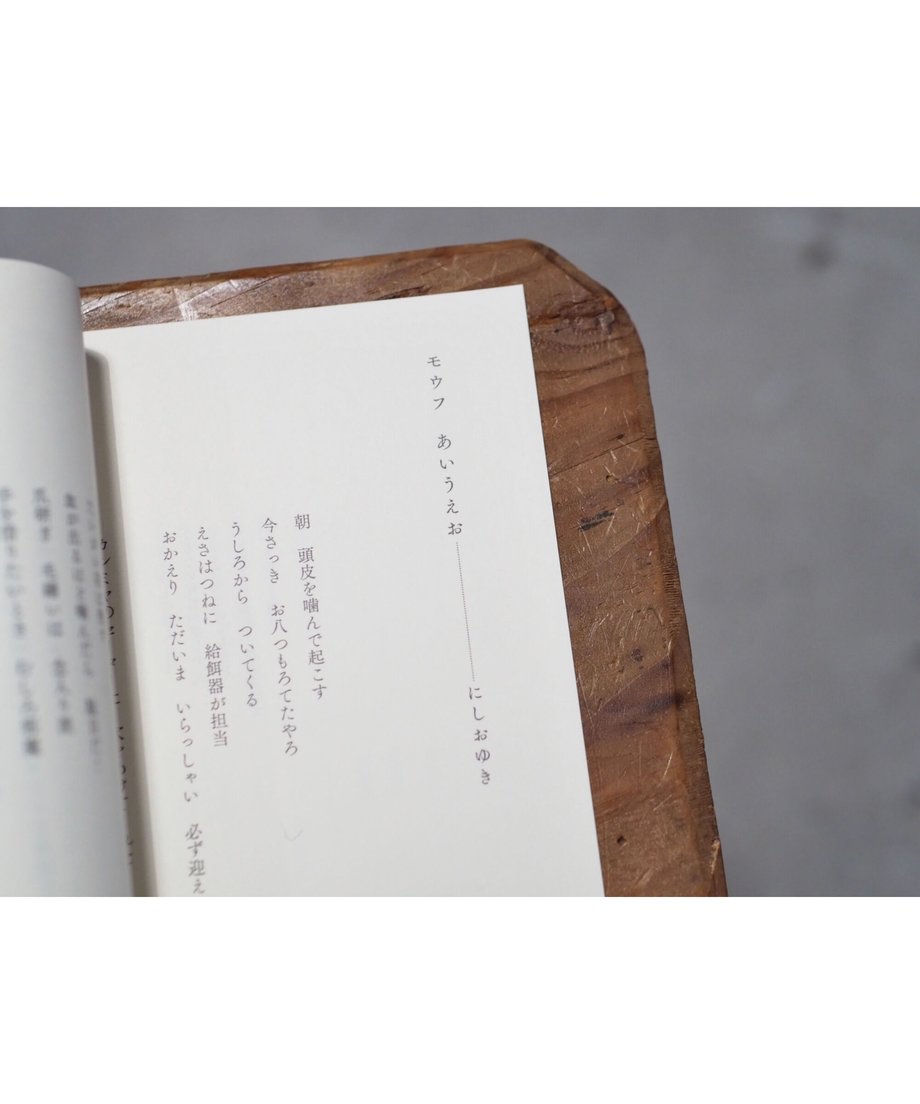 6097e898da019c6c61c0bcaf