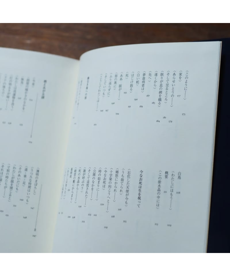 ネリー・ザックス詩集｜ネリー・ザックス 綱島寿秀/訳 | button