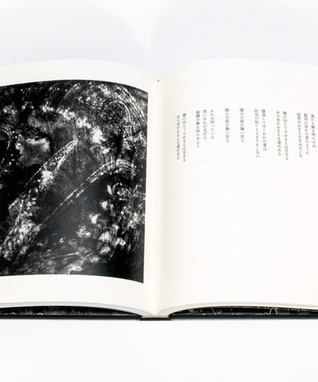 The Last One〈Poésies : Les Rallizes Dénudés〉裸のラリーズ詩集