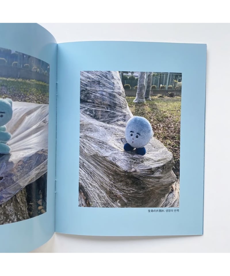 카타오카 메리야스2023 フォトブック For MIDOPA｜片岡メリヤス | button