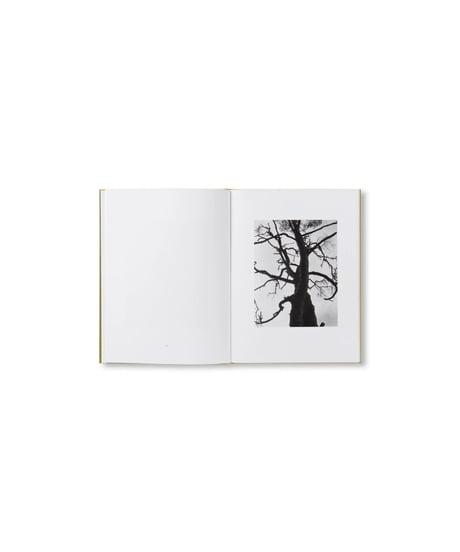 NATUR｜Michael Schmidt