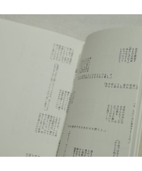 発光性diapositive｜関口涼子