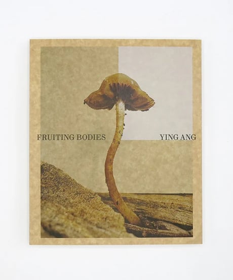 FRUITING BODIES｜Ying Ang