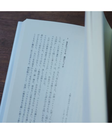 ガザに地下鉄が走る日｜岡真理