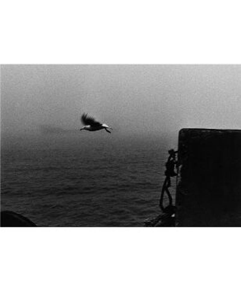 North Point 北点｜中居裕恭 写真集 | button