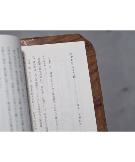 君と暮らせば | ちいさないきものと日々のこと2