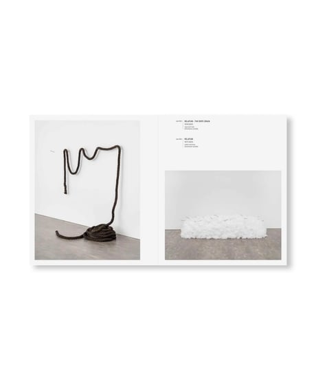 LEE UFAN & CLAUDE VIALLAT｜ Lee Ufan, Claude Viallat