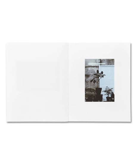 COLAZIONE SULL'ERBA｜Luigi Ghirri