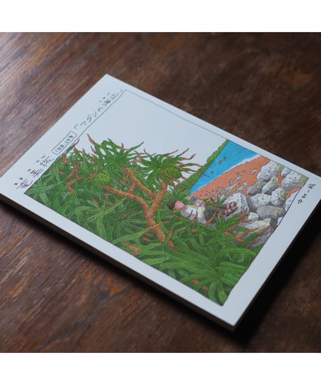 【サイン入】奄美旅「アダンの海辺」〜1.2日目〜｜中村一般