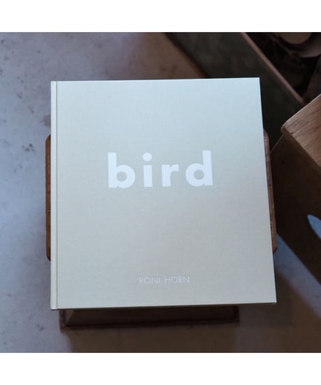 BIRD | Roni Horn