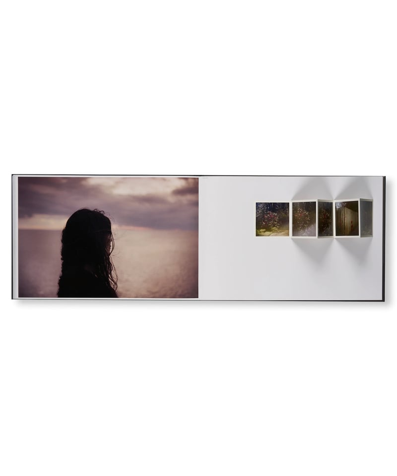 THE END SENDS ADVANCE WARNING｜Todd Hido | button