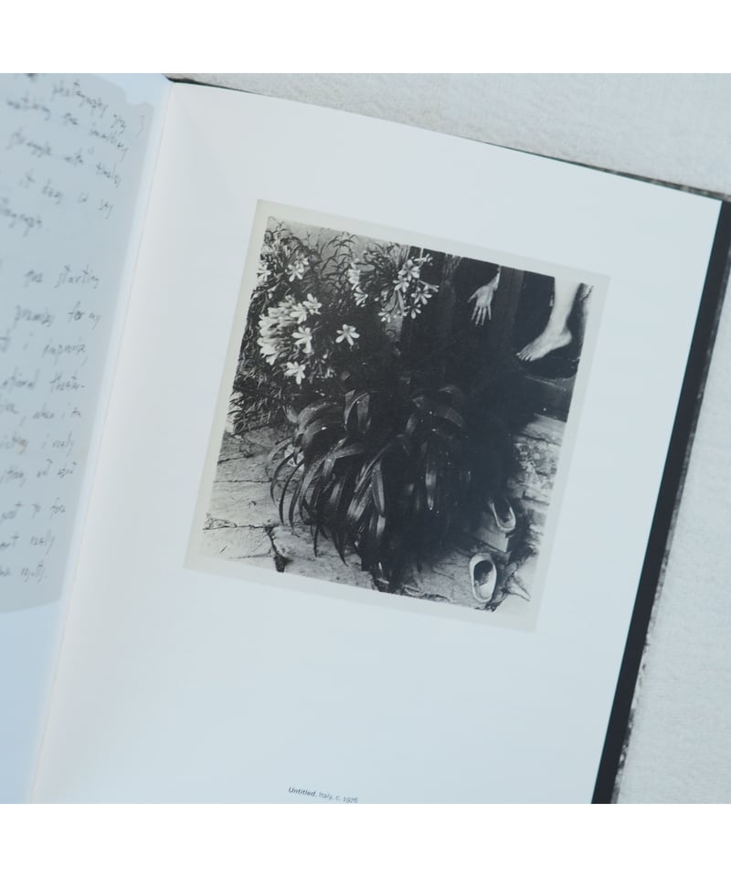 ALTERNATE STORIES｜Francesca Woodman | button