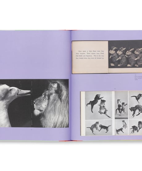 L IS FOR LOOK CHILDREN’S PHOTOBOOKS