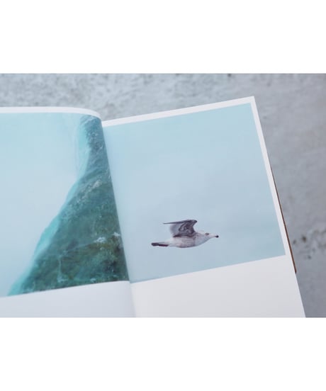 【サイン本】Illuminance: The Tenth Anniversary Edition｜川内倫子