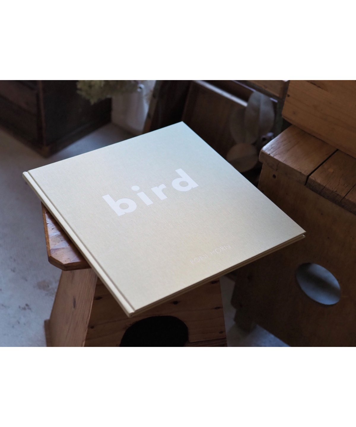 【デッドストック品】roni horn bird Roni Horn / bird | POST